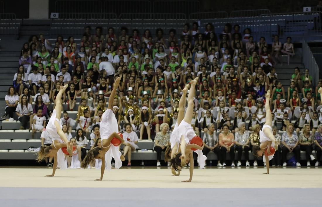 La Gimnastrada popular reuneix 500 gimnastes
