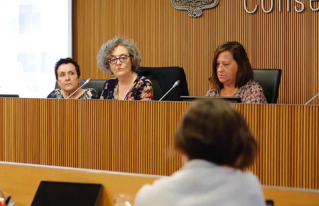 Montserrat Ronchera, al centre, avui durant la compareixença al Consell General.