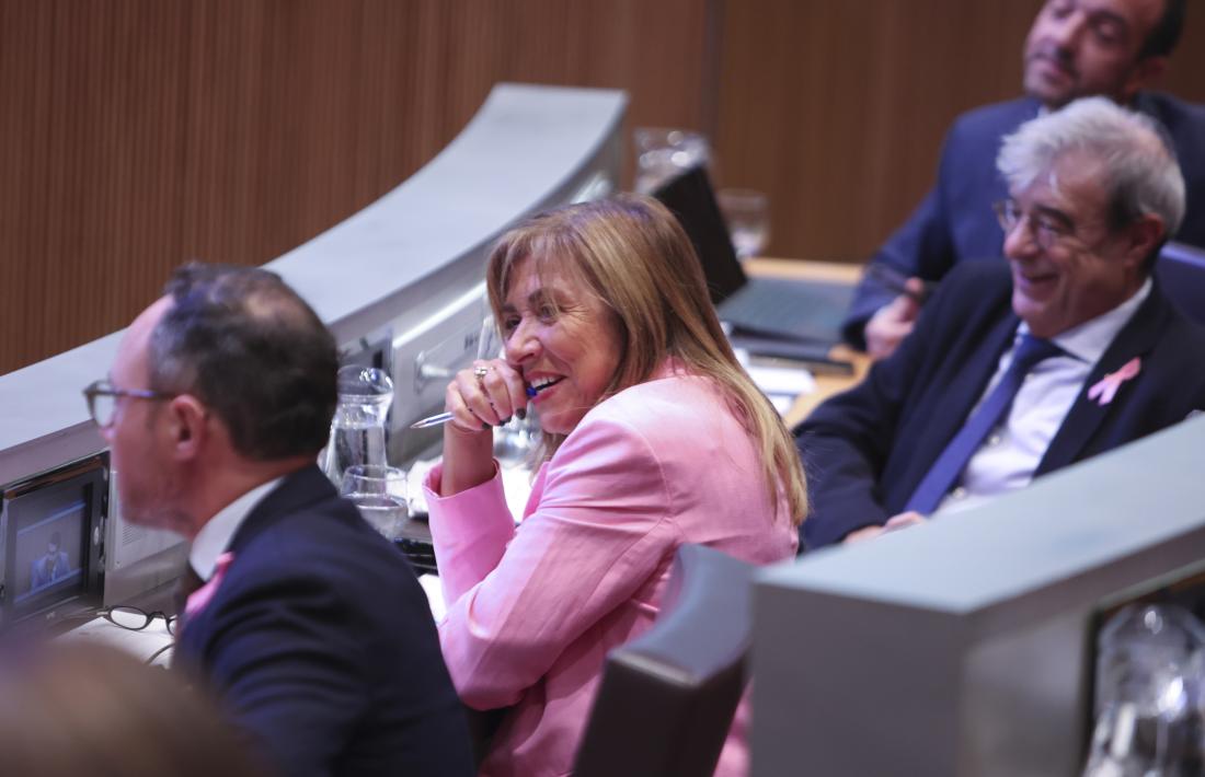Marsol durant la sessió de control al Govern,