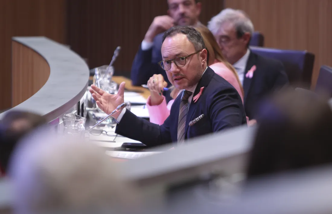 El cap de Govern, Xavier Espot, avui al Consell General.