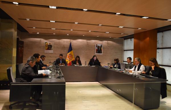p. 08 consell de comu ordino