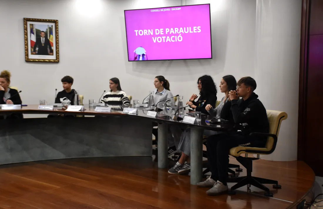 Els participants al Consell de Joves d'Encamp.