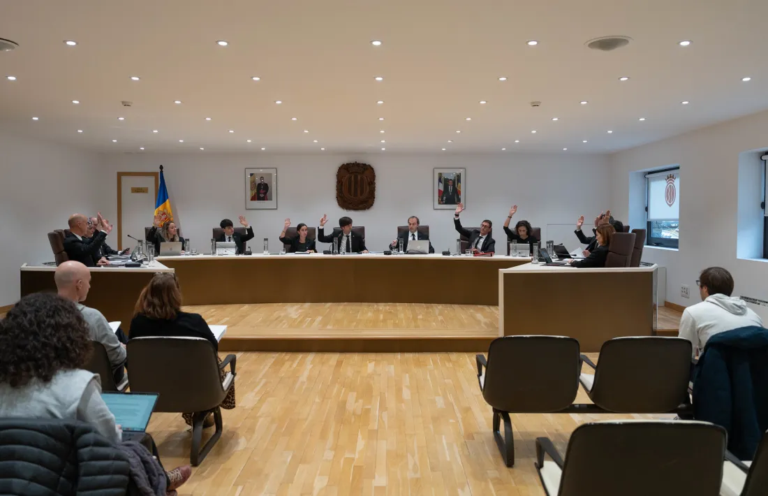 Tots els consellers votant favorablement un dels punts de l'ordre del dia.