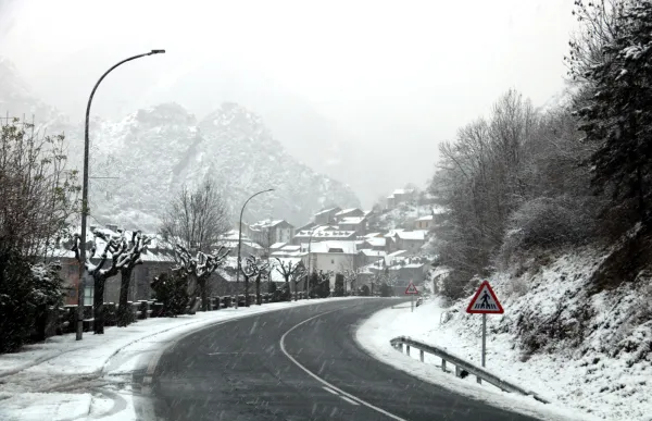 ripoll
