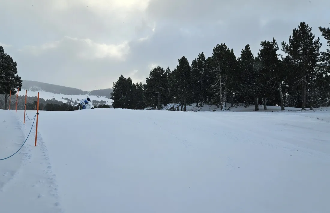 Estat de les pistes a Naturland.