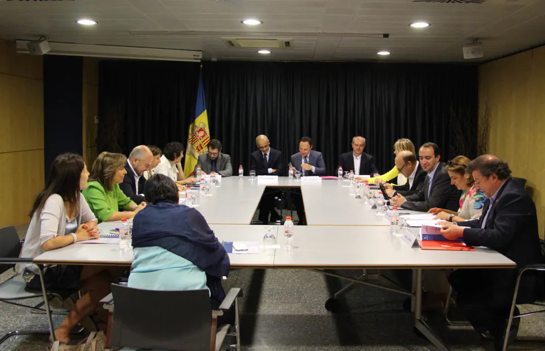 El Govern vol definir la reorganització competencial de l'atenció domiciliària per aplicar el nou model l'any 2017