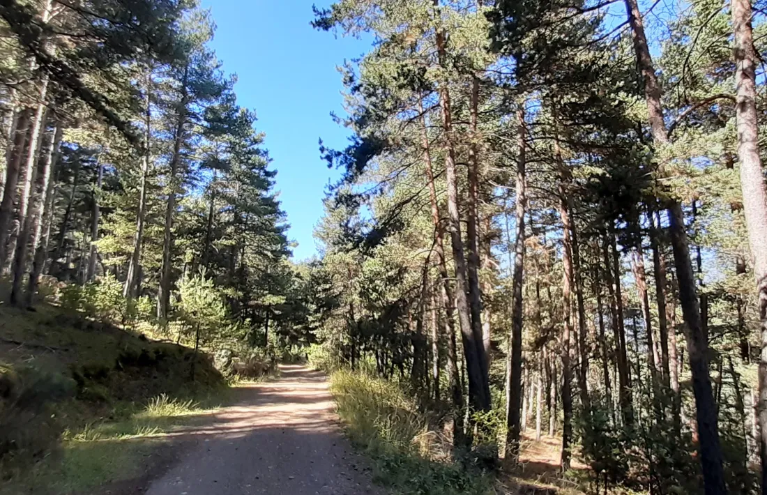 El volum d’ajuts es calcula en funció de la longitud de la xarxa de camins a cada comarca. 