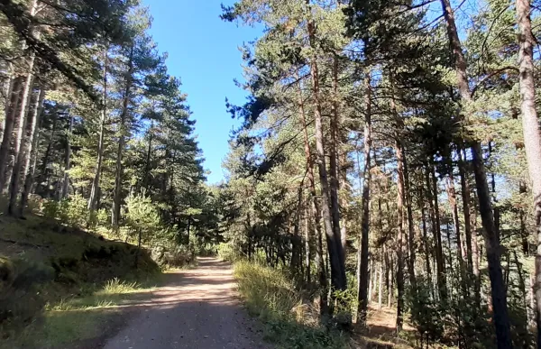 p. 18 1