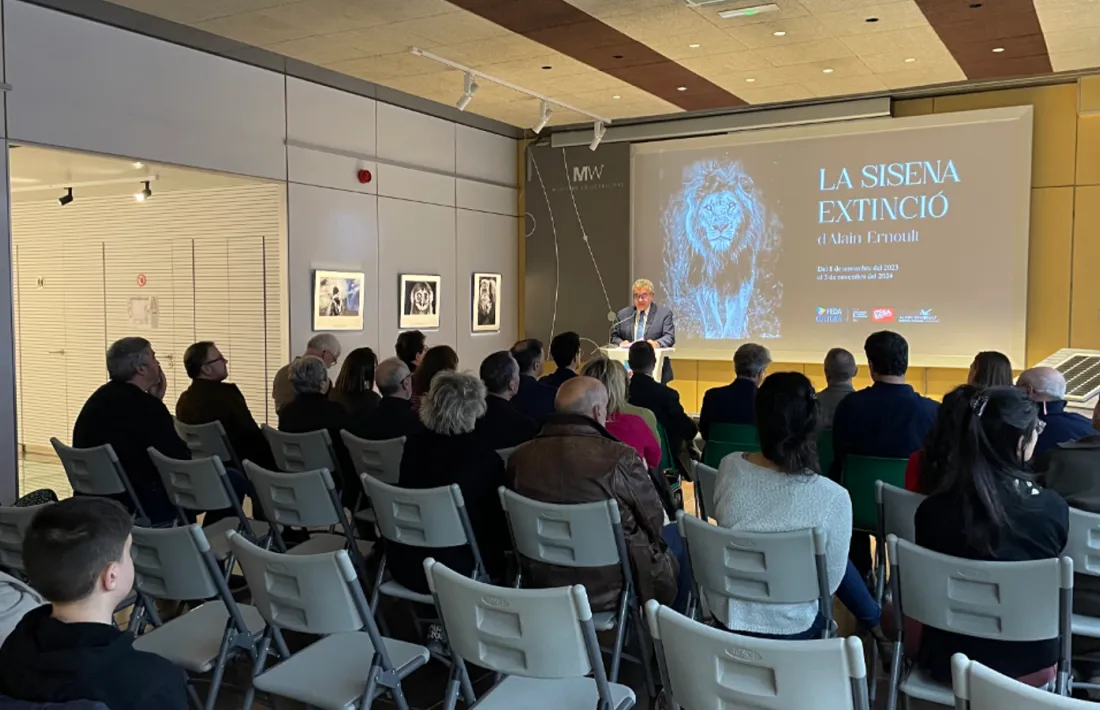 Una de les activitats de FEDA Cultura.