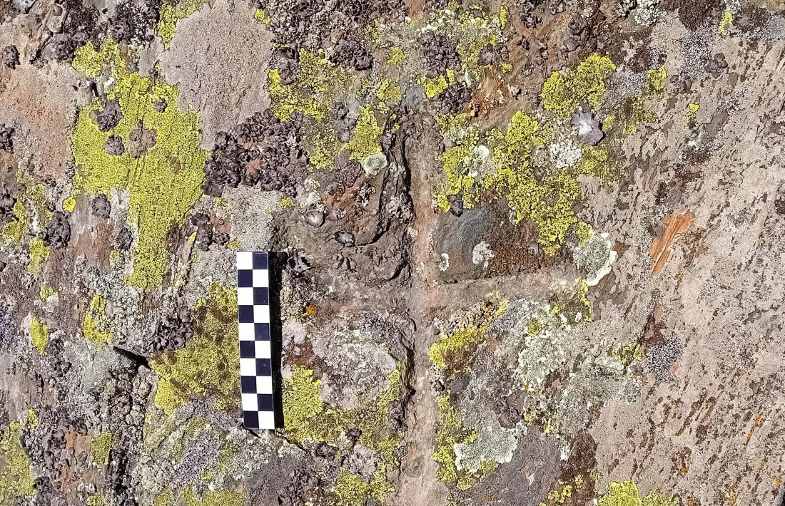 La creu de terme que ha permès identificar la pedra amb la Roca Encantada.