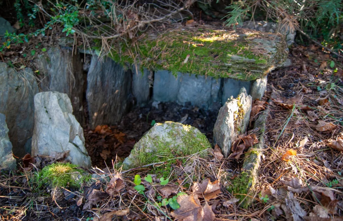 Aspecte del jaciment, amb la cista on es van inhumar els tres individus, el 2014.