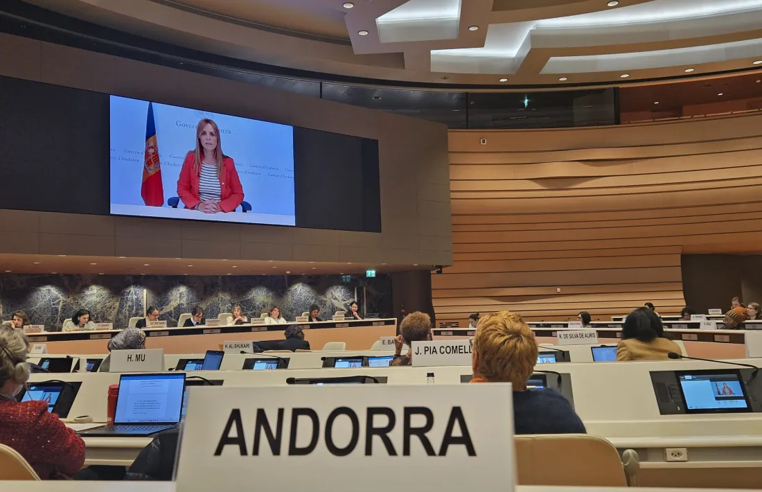 Mariona Cadena intervé telemàticament al CEDAW.