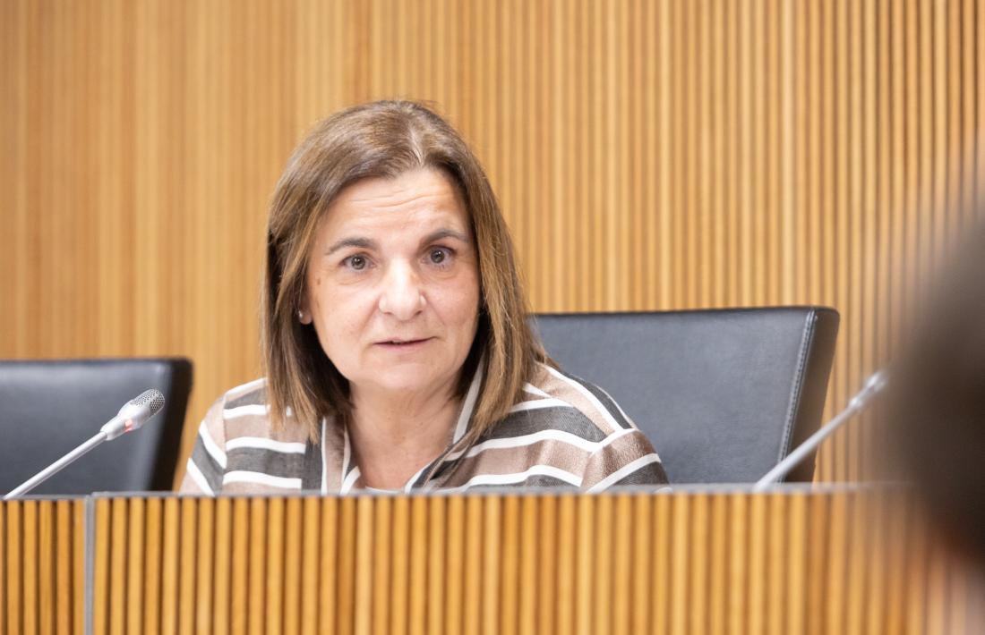La ministra Trini Marín, avui durant la compareixença al Consell General.