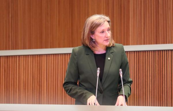 Maria Àngels Aché, durant una sessió de Consell General