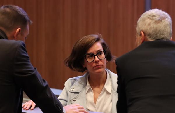 Núria Segués al Consell General (002)