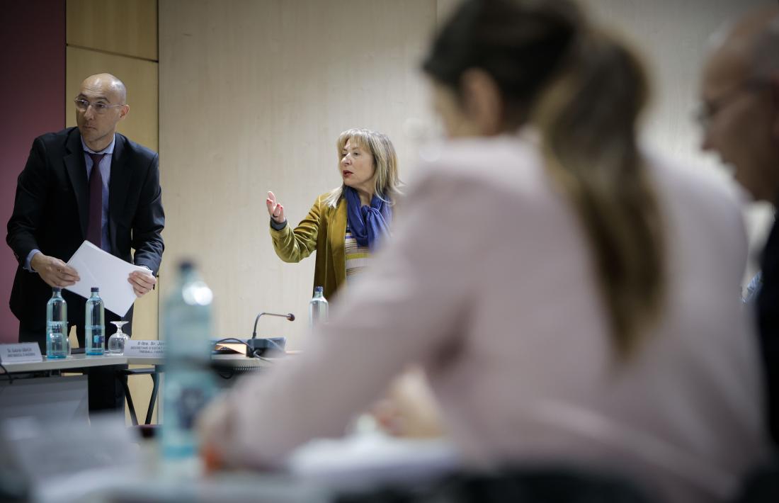 La ministra Conxita Marsol a l’inici de la reunió del CES d’avui.