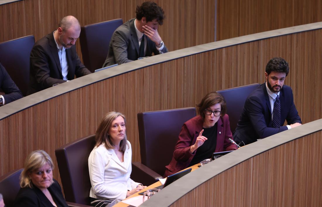 Núria Segués es dirigeix a Molné, avui al Consell General.