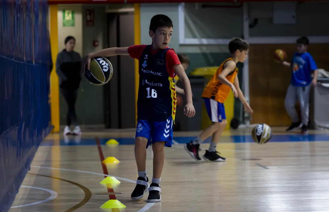 Un dels campus esportius d'activitats anteriors.