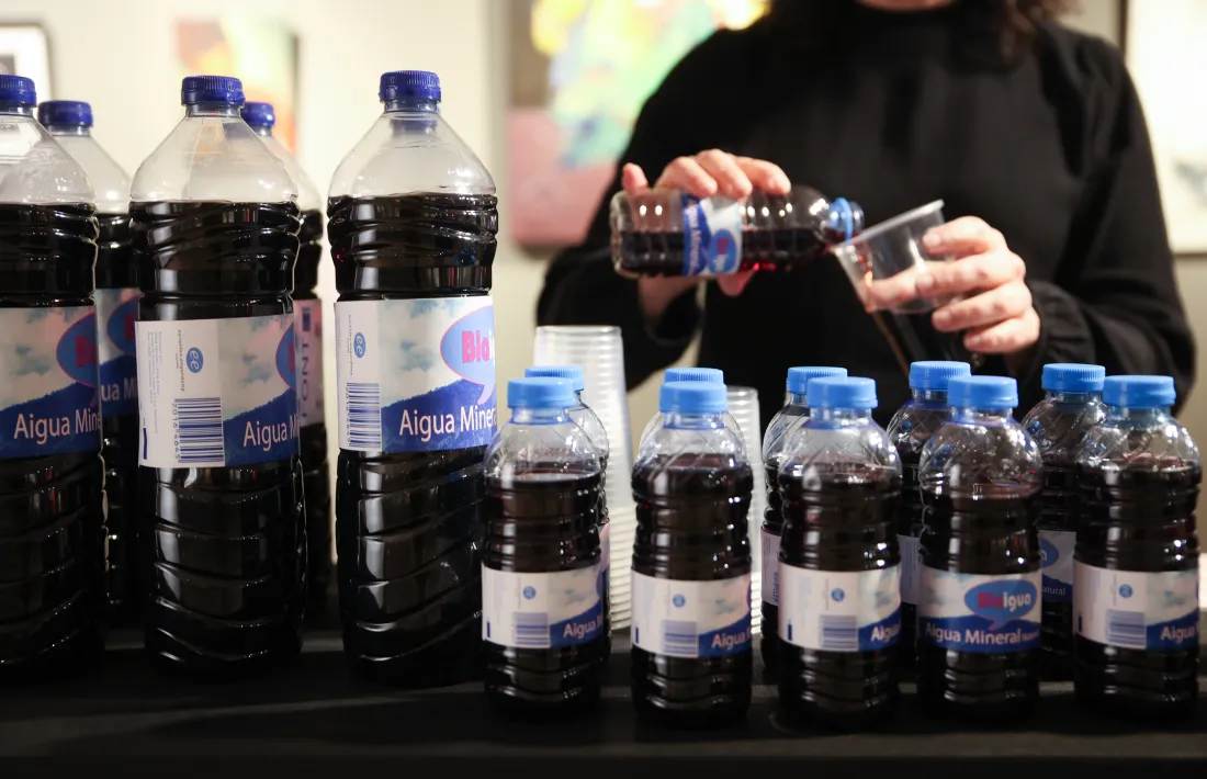 La instal·lació ‘BLAigua’, d’Eve Ariza (2010).