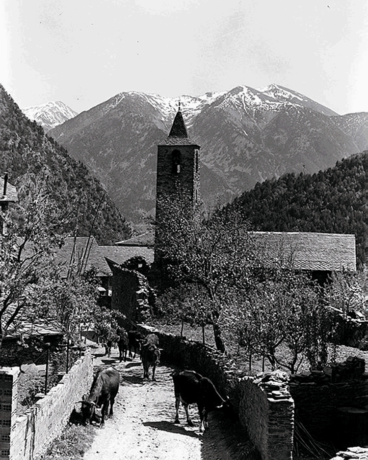 174-FP_18972
