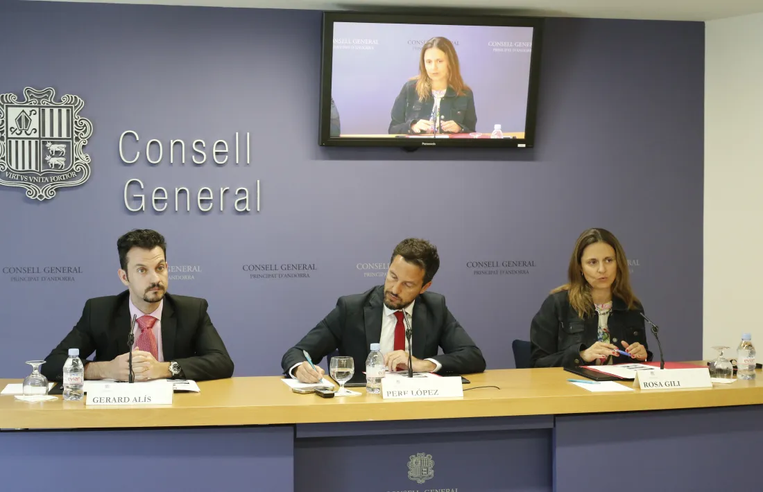 El PS reclama informes, queixes, contractes i enquestes del SAAS