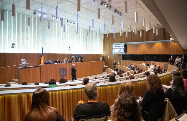 consell dels joves