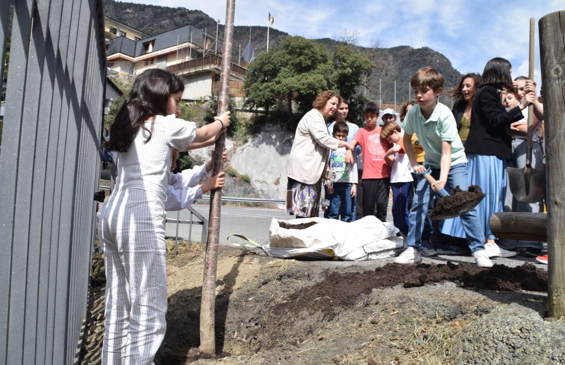 Els alumnes del col·legi Sant Ermengol plantan el seu arbre.