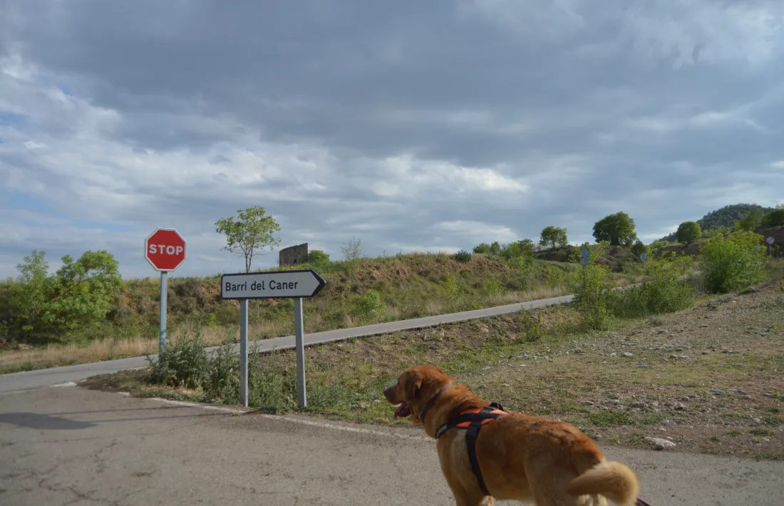  Els camins i accessos als pobles, una de les assignatures pendents. 