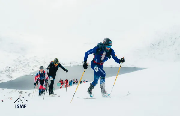 aae6efcb-977f-458e-801c-4711adb60636