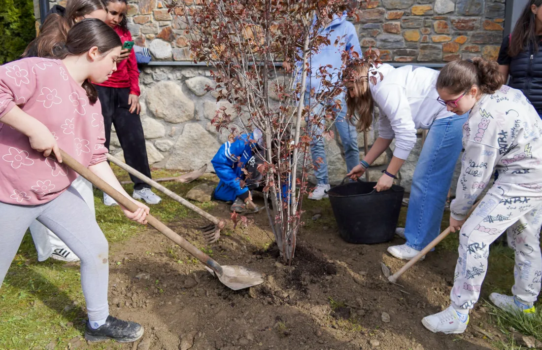 Un grup d'alumnes planten un arbre.