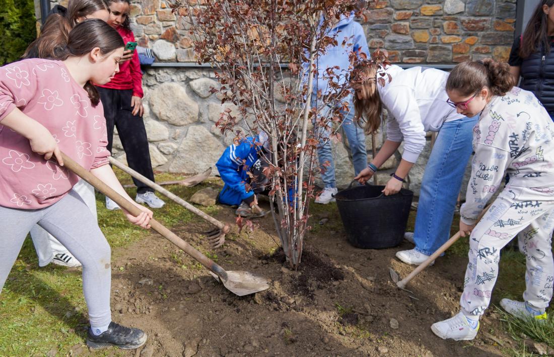 Un grup d'alumnes planten un arbre.