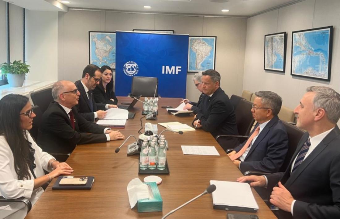 delegacio fmi