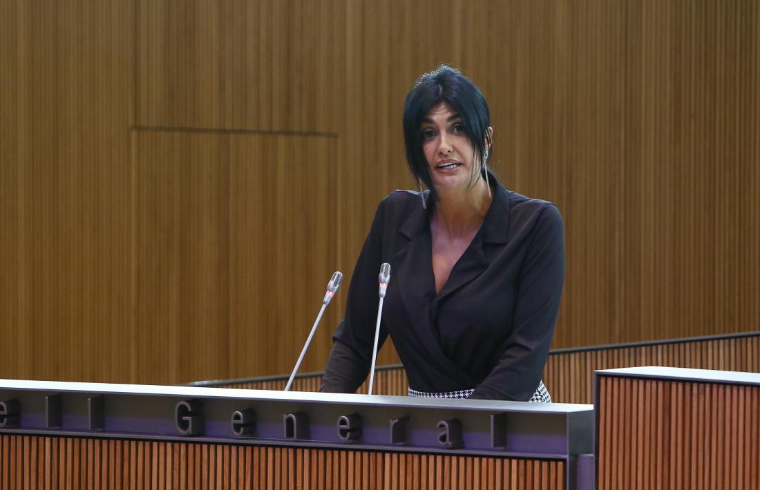 Carine Montaner intervenint al Consell General.