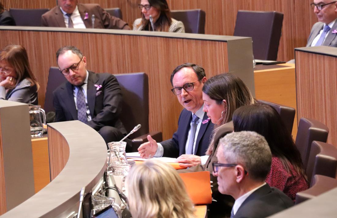 El president del grup parlamentari demòcrata, Jordi Jordana, intervenint en una sessió del Consell General.