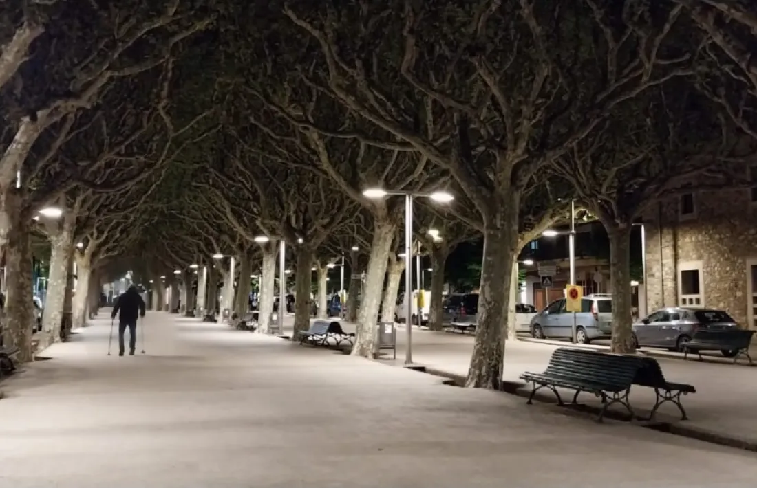 El subministrament es restablia a la capital alturgellenca cap a les nou del vespre. 