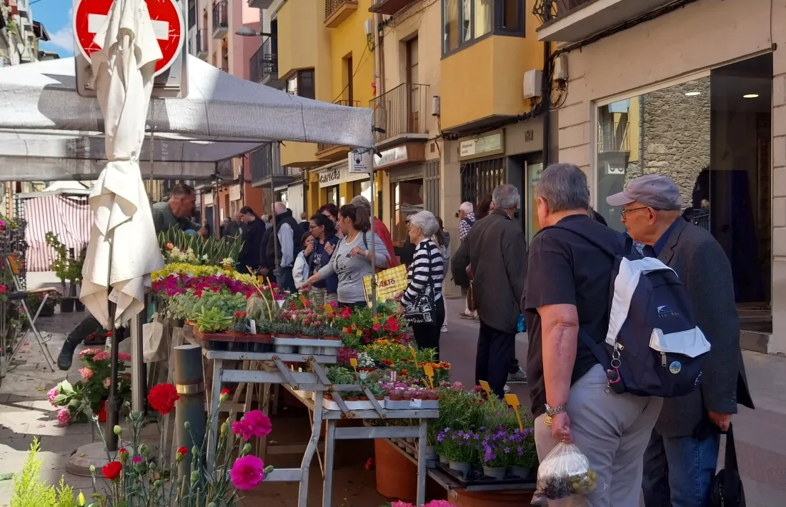 Dimarts, jornada de mercat: en l’aire surava un sospir d’alleujament i alegria per la rutina recuperada. 