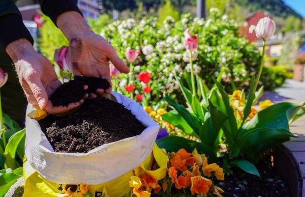 174997_compost