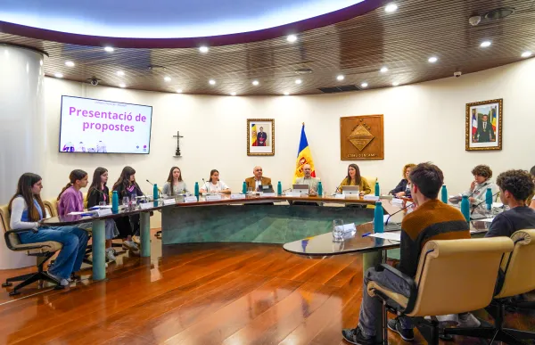 consell joves encamp