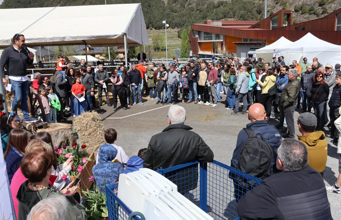 Un moment de la subhasta de vaques brunes.