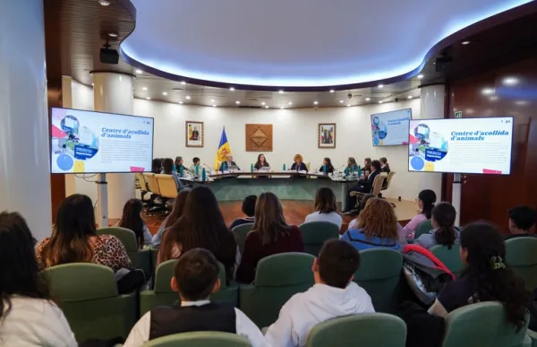 consell infants encamp nova