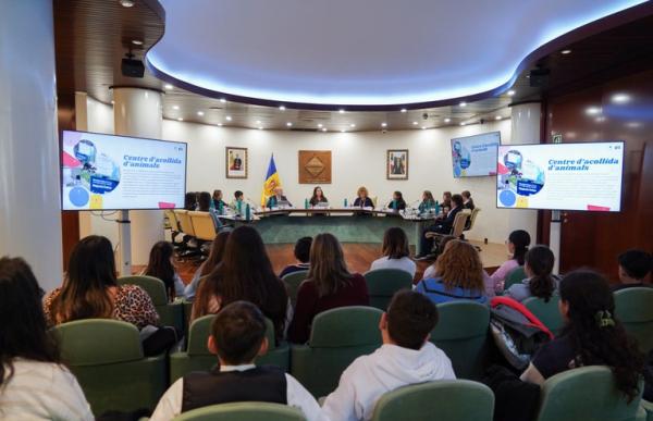 consell infants encamp nova