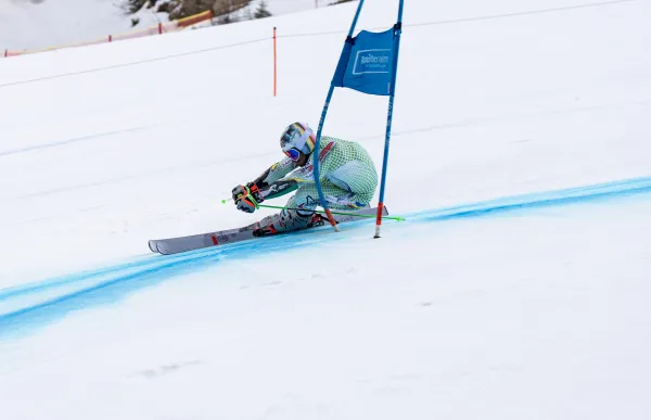 (c) Benjamin Hoell Action