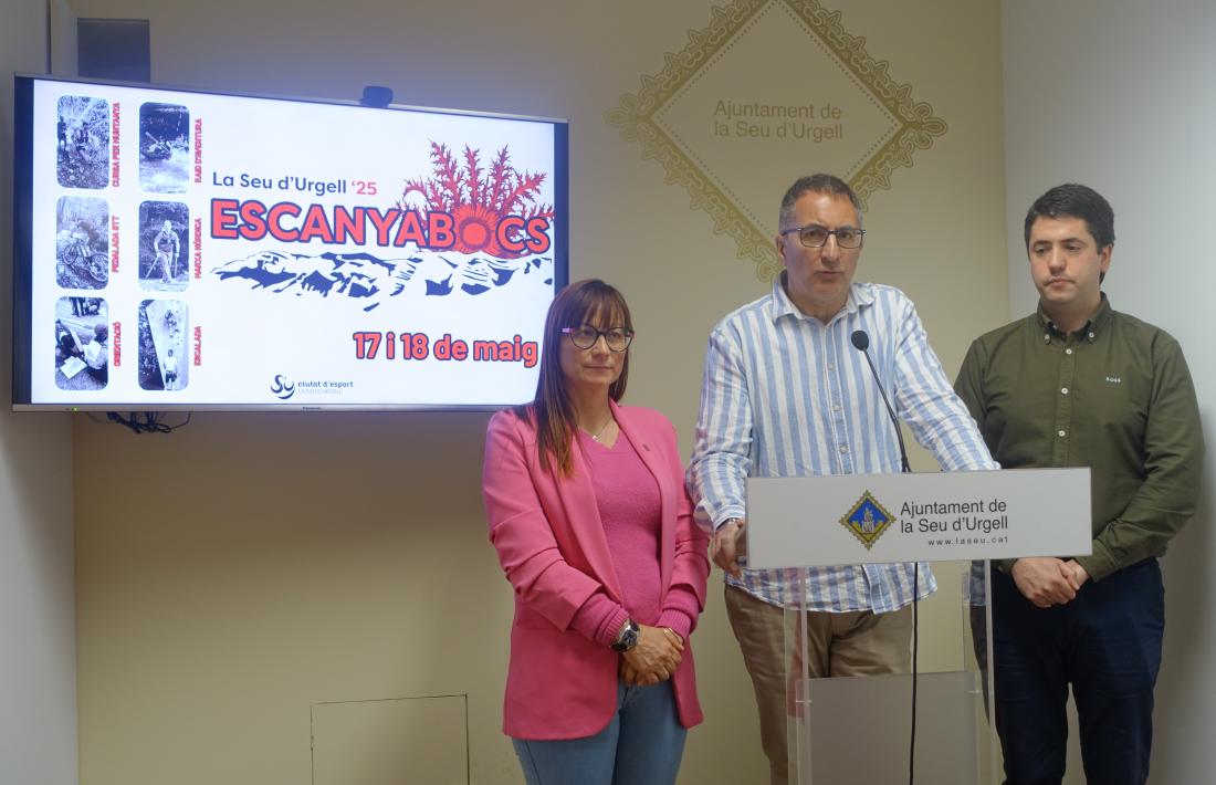 La presentació de les proves. 