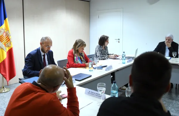 p. 06 consell economic i social_sfga viladot