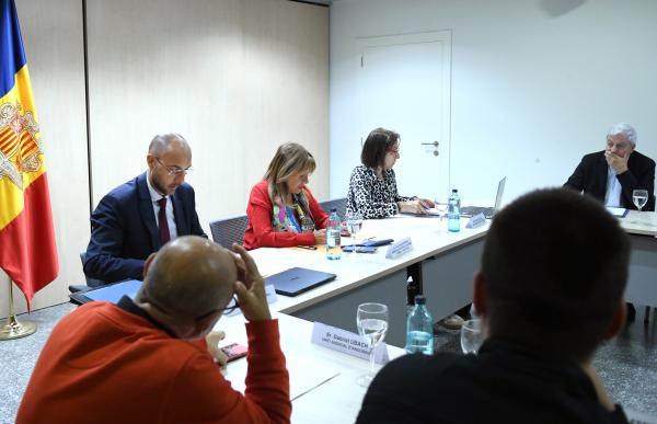 p. 06 consell economic i social_sfga viladot