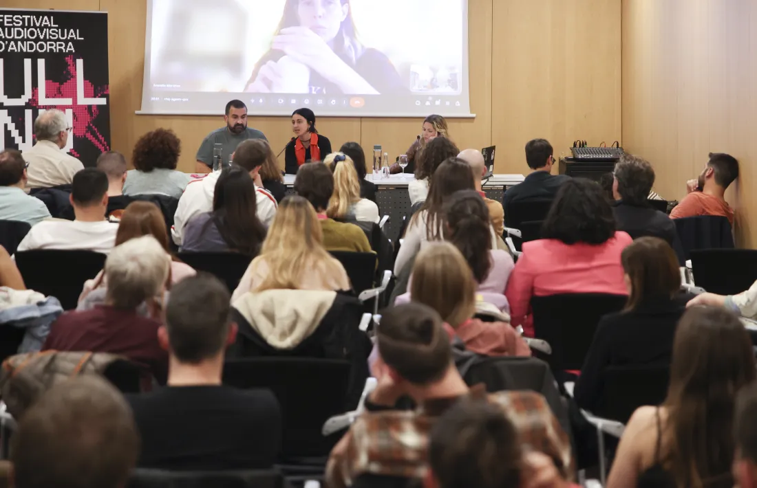 La sala es va omplir per la taula rodona sobre pornografia.