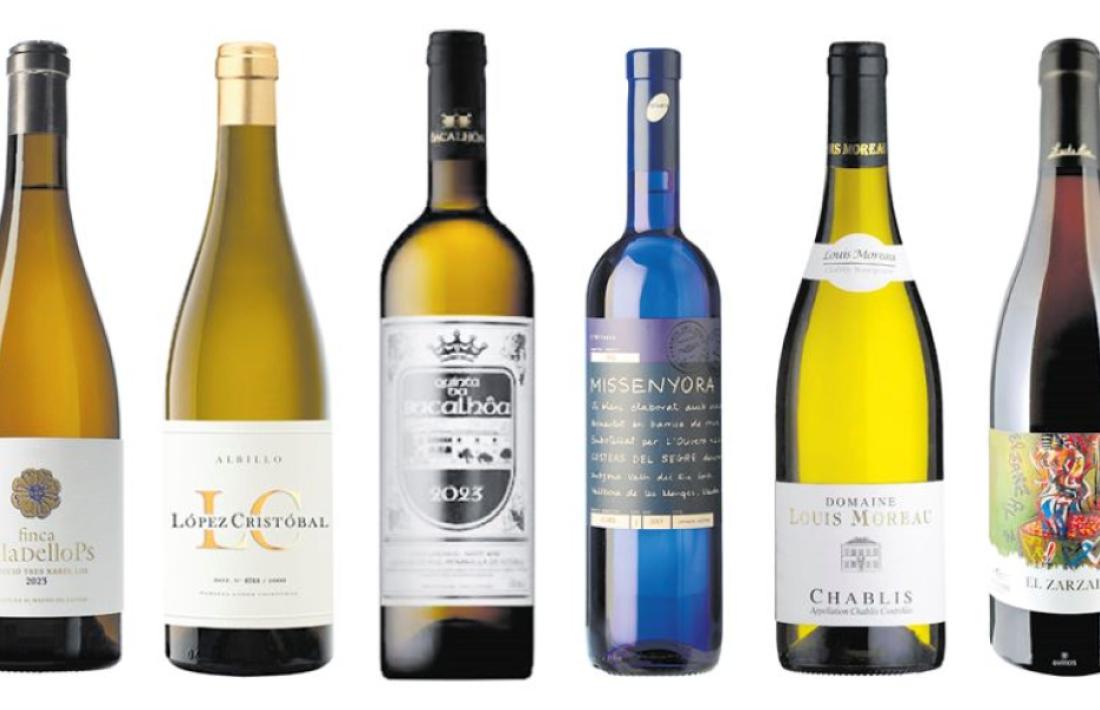 6 referències per menys de 20 €