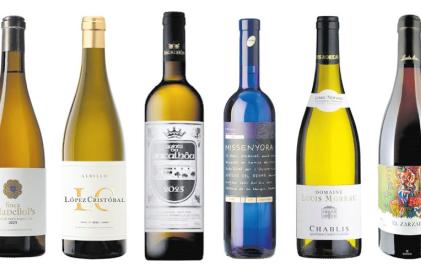 vins tots_b