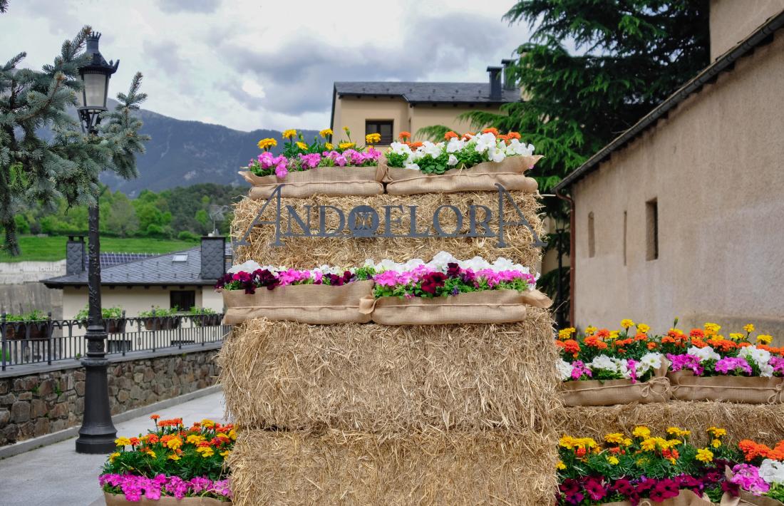 Una de les intervencions florals a la Massana.