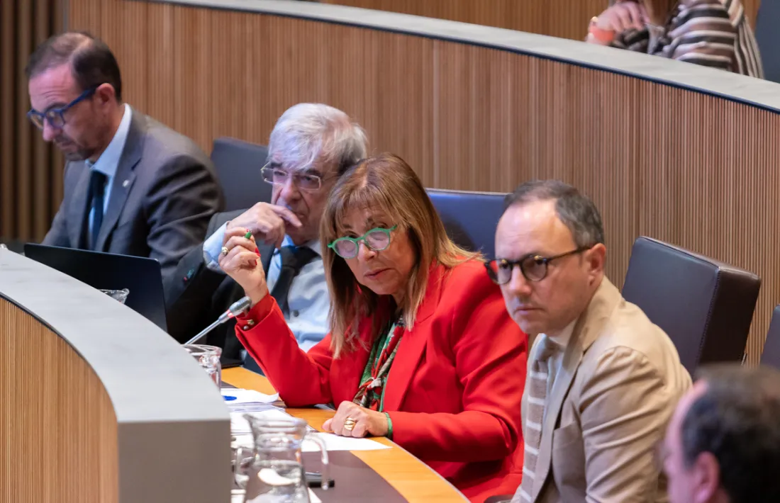 Conxita Marsol intervenint en la sessió de control del Consell General.